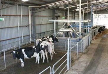 Smooth start to FutureDairy