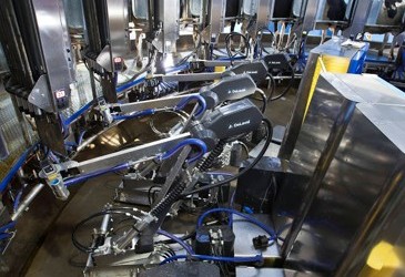 Robotic rotary revolutionises dairy farming