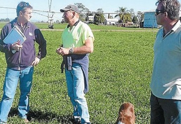 Pastures perform well with crops